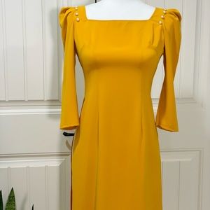 New Vietnamese traditional dress (XL/XxL)